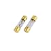 Hama 2 Glassicherungen 60A, 2 St.