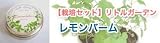 リトルガーデン　ハーブ　レモンバーム