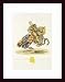 Knights and Armour, Art Poster by Samuel Rush Meyrick, with Wood Frame, poster size: 12 x 16