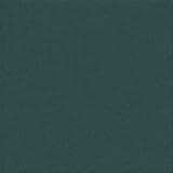 ADP Cardstock 8.5 x 11 - DARK GREEN Single Sheet