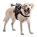 Dog Rider Doggie Costume One Size - Headless Horseman
