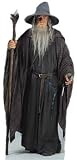 Gandalf - The Grey Life Size Cardboard Cutout
