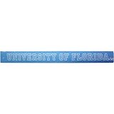 Florida Gators White Strip Decal