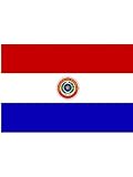 Stockfahne Paraguay