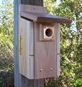 Songbird Essentials SESCS3004RW Ultimate Bluebird Bird House