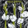 Image of album by Mecca Normal