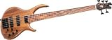 Tobias Killer B 5-String Bass, Mahogany