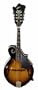 F Style Mandolin by Abilene