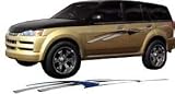 Stingray Auto Trim - SILVER/MET BLUE
