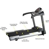 LifeSpan Fitness Pro5 Treadmill