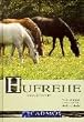 Hufrehe