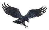 Eagle - 36 Wall