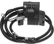 Replacement ignition coil for Briggs & Stratton 394891