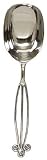 Decorative Ice Scoop with Stainless Steel Handle