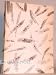 The Birds (Paperback)