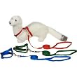 PETCO Deluxe Ferret Harness and Lead Set, Color:Assorted PETCO Deluxe Ferret Harness and Lead Set, Color:Assorted