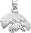 Sterling Silver University of Iowa Hawkeye Charm New