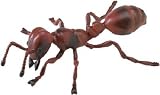 FIRE ANT by Safari, Ltd.