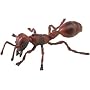 FIRE ANT by Safari, Ltd
