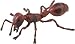 FIRE ANT by Safari, Ltd.