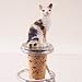 Tortoise & White Cornish Rex Cat Bottle Stopper