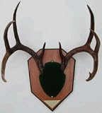 GEE DEERSKIN B/A M/KIT