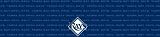 Tampa Bay Devil Rays Team Auto Visor Decal