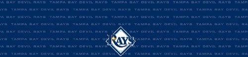Tampa Bay Devil Rays Team Auto Visor Decal