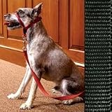 Collar and Leash Combo System - Black - For Dogs up to 25 lb.