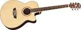 Washburn WD20 Series WMJ20SCE Acoustic Electric Guitar