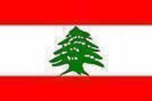 Lebanon 3X5 Feet Flag Lebanon Flag by Neighboryou
