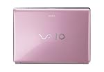 Sony VAIO VGN-CR220E/P 14.1