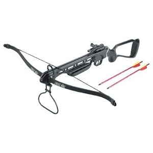 150lb Crossbow Fiberglass Stock Aluminum 2 Arrows