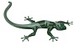 Gecko