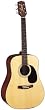 Jasmine by Takamine S35 Acoustic Guitar