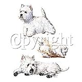 Westie Adult T-Shirt
