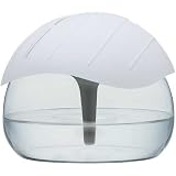 100ml Wilderness (Eucalyptus)