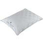 Royal Velvet Legacy European White Feather and Down Standard Pillow
