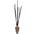 Bamboo Poles (Set of 12)