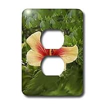Flowers - Red and Yellow Hibiscus - Light Switch Covers - 2 plug outlet cover