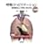 �ċz���n�r���e�[�V�����\��b�T�O�ƌċz���Z [DVD�t]