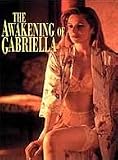 Review Showbox Home Entertainment  / Playboy - Awakening Of Gabriella [2002]