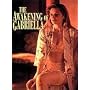 Playboy - Awakening Of Gabriella [DVD] [2002]