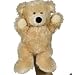 Plush Bear Hand Puppet