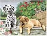 Paint By Number - Dogs - Look Who's Watching
