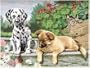 Paint By Number - Dogs - Look Who's Watching