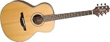 Takamine G Series GS430S NEX Acoustic Guitar, Natural