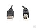 Inspiretech's New 15ft USB A/B PRINTER / SCANNER CABLE UNIVERSAL FOR ALL printers with a b port
