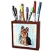 yorkshire_terrier47yorkshire terrier - Dogs Yorkshire Terrier Yorkshire Terrier Tile Pen Holders5