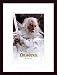 Lord of the Rings: The Return of the King, Art Poster with Wood Frame, poster size: 11